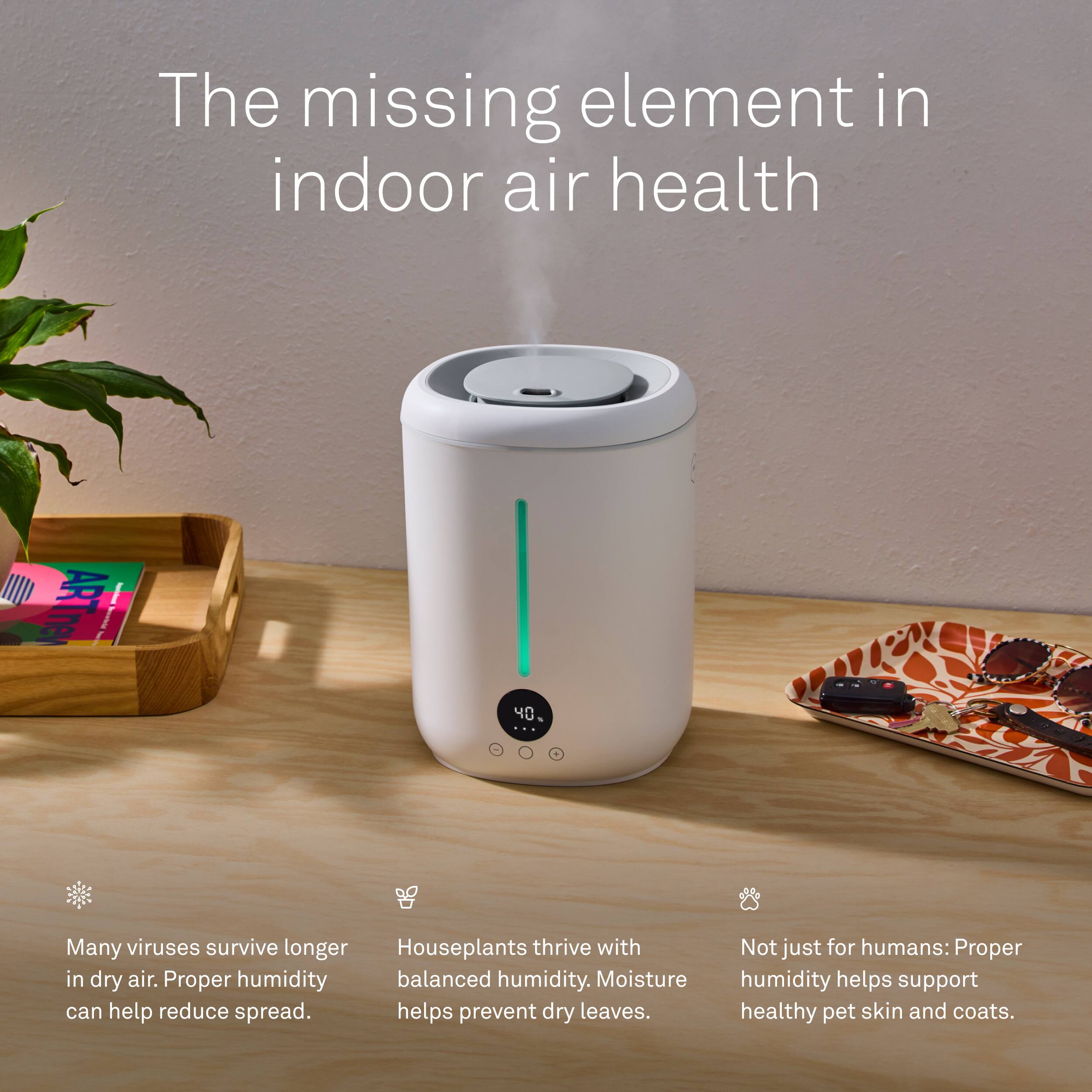 The missing element in indoor air health

Many viruses survive longer in dry air. Proper humidity can help reduce spread.

Houseplants thrive with balanced humidity. Moisture helps prevent dry leaves.

Not just for humans: Proper humidity helps support healthy pet skin and coats.