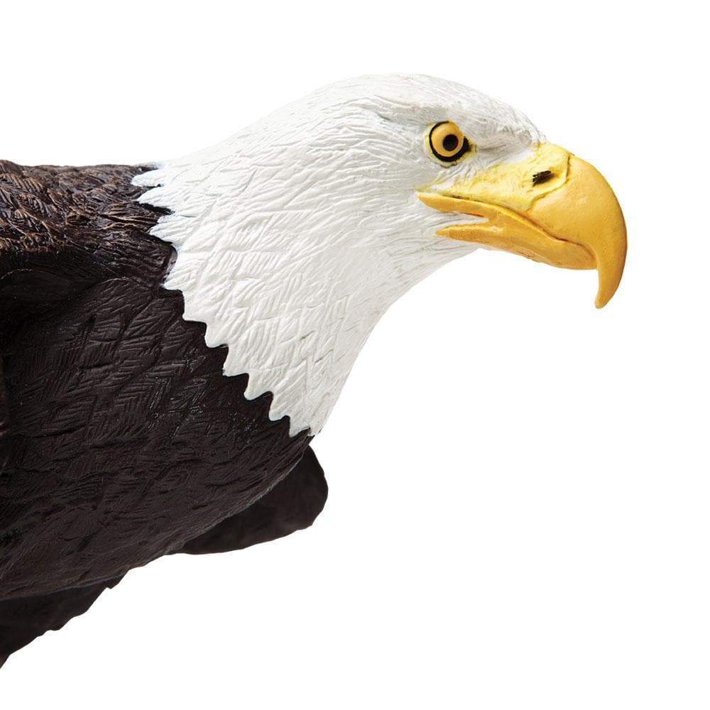 Back. Safari Ltd. - Bald Eagle.