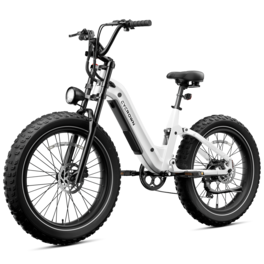 CYCROWN - Roma All-Terrain Ebike(1000W Motor , 20MPH Top Speed , 90Miles Range , 48V 20Ah Battery) - White