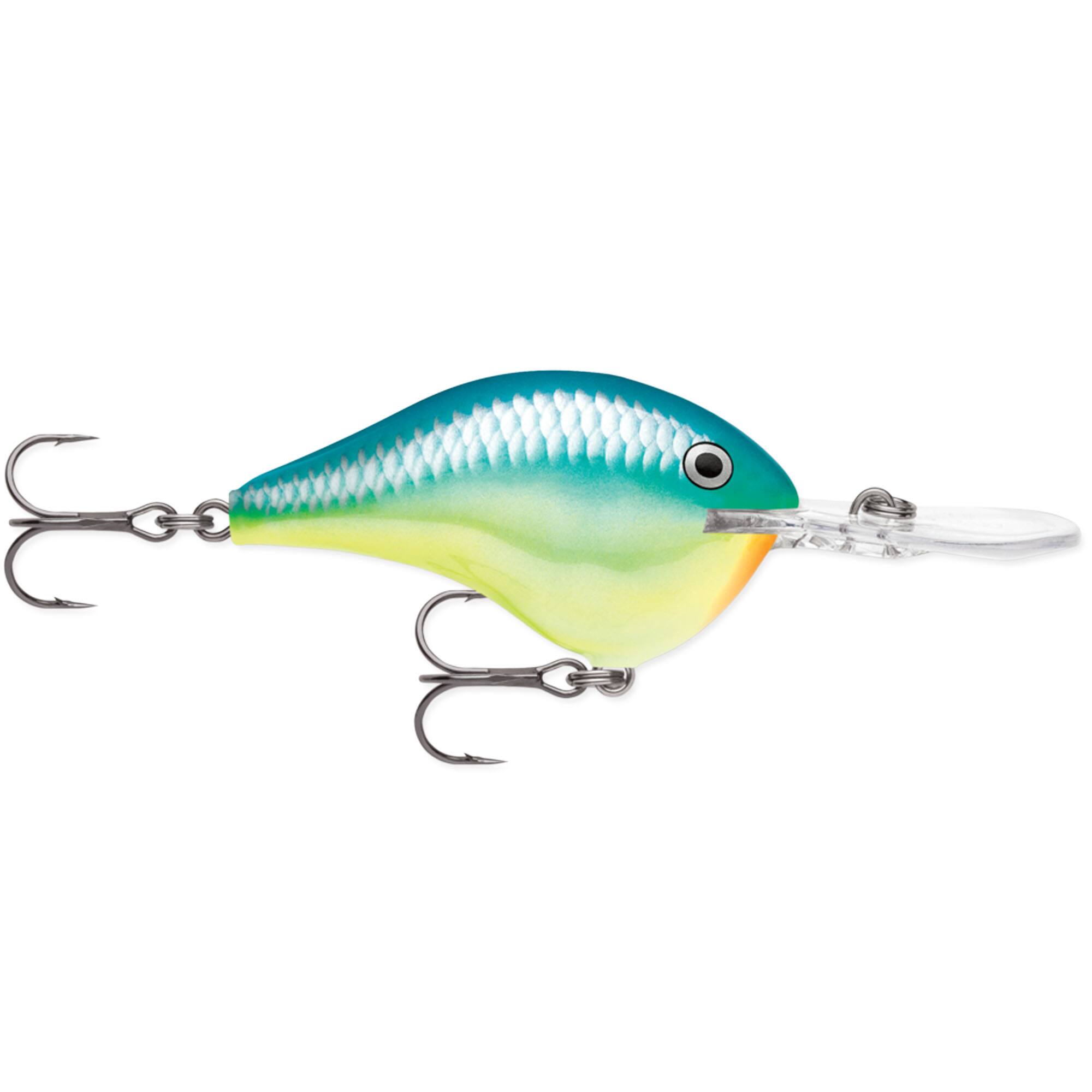 Caribbean Shad