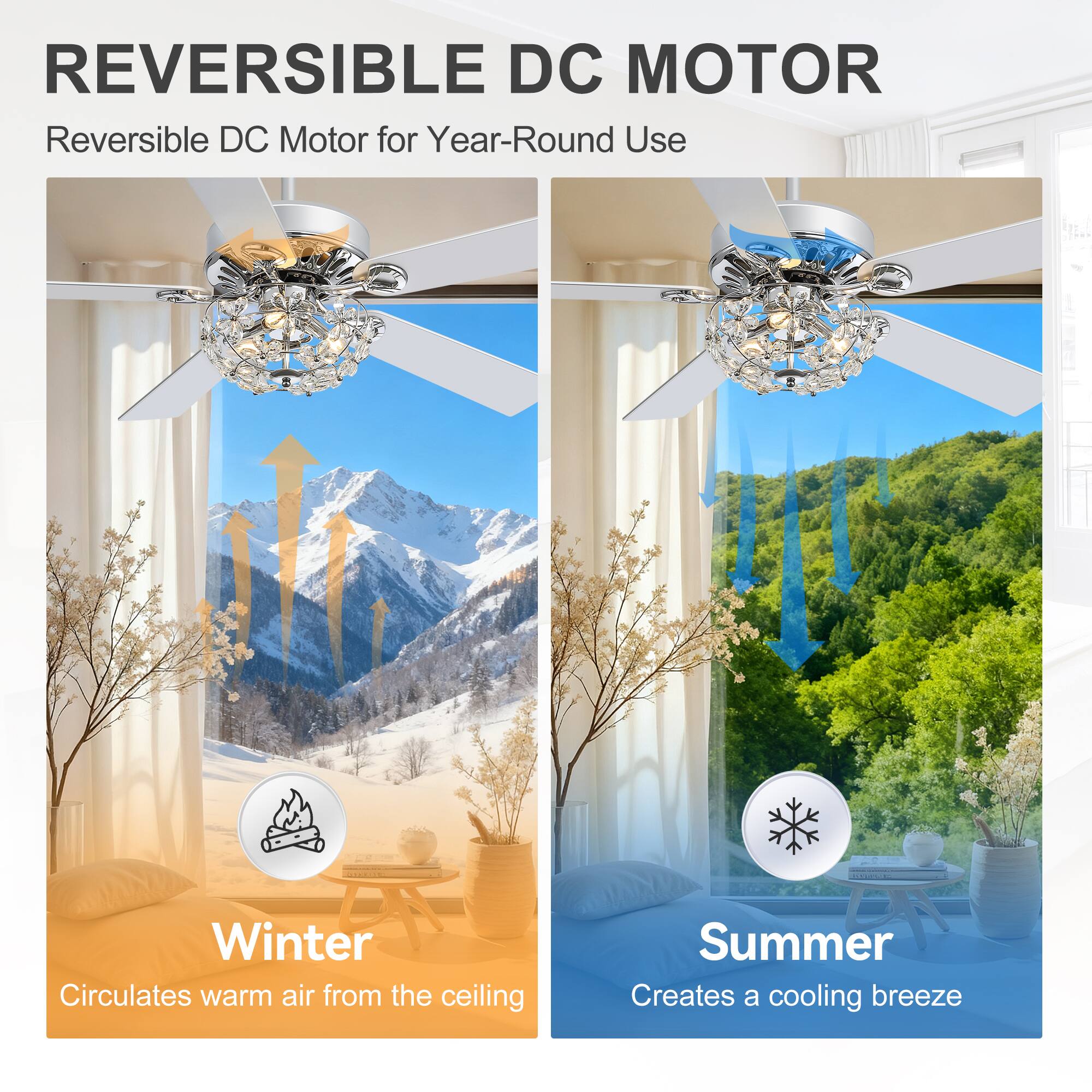 REVERSIBLE DC MOTOR  
Reversible DC Motor for Year-Round Use

Winter  
Circulates warm air from the ceiling

Summer  
Creates a cooling breeze