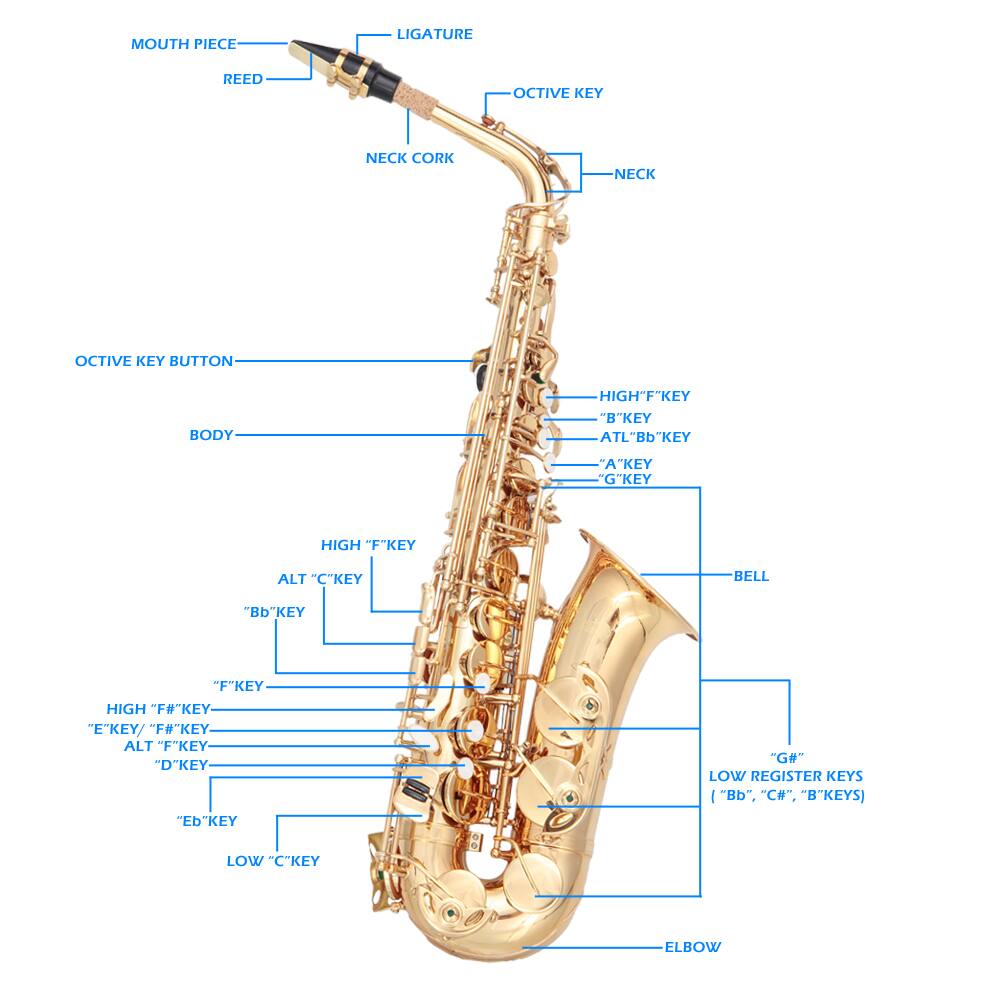 MOUTH PIECE  
LIGATURE  
REED  
NECK CORK  
NECK  
OCTIVE KEY  
OCTIVE KEY BUTTON  
BODY  
HIGH FKEY  
"B"KEY  
ATL "BDKEY  
"A"KEY  
"G"KEY  
HIGH FKEY  
ALT C"KEY  
BELL  
"BD"KEY  
F"KEY  
HIGH "F#*KEY  
E"KEY/  
"F#*KEY  
ALT F-KEY  
DKEY  
"Eb"KEY  
"G#"  
LOW REGISTER KEYS  
"Bb". "C#". "B"KEYS)  
LOW "C"KEY  
ELBOW