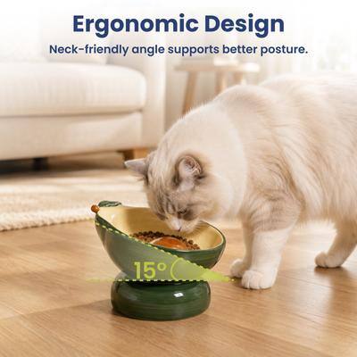 Ergonomic Design  
Neck-friendly angle supports better posture.  
15°