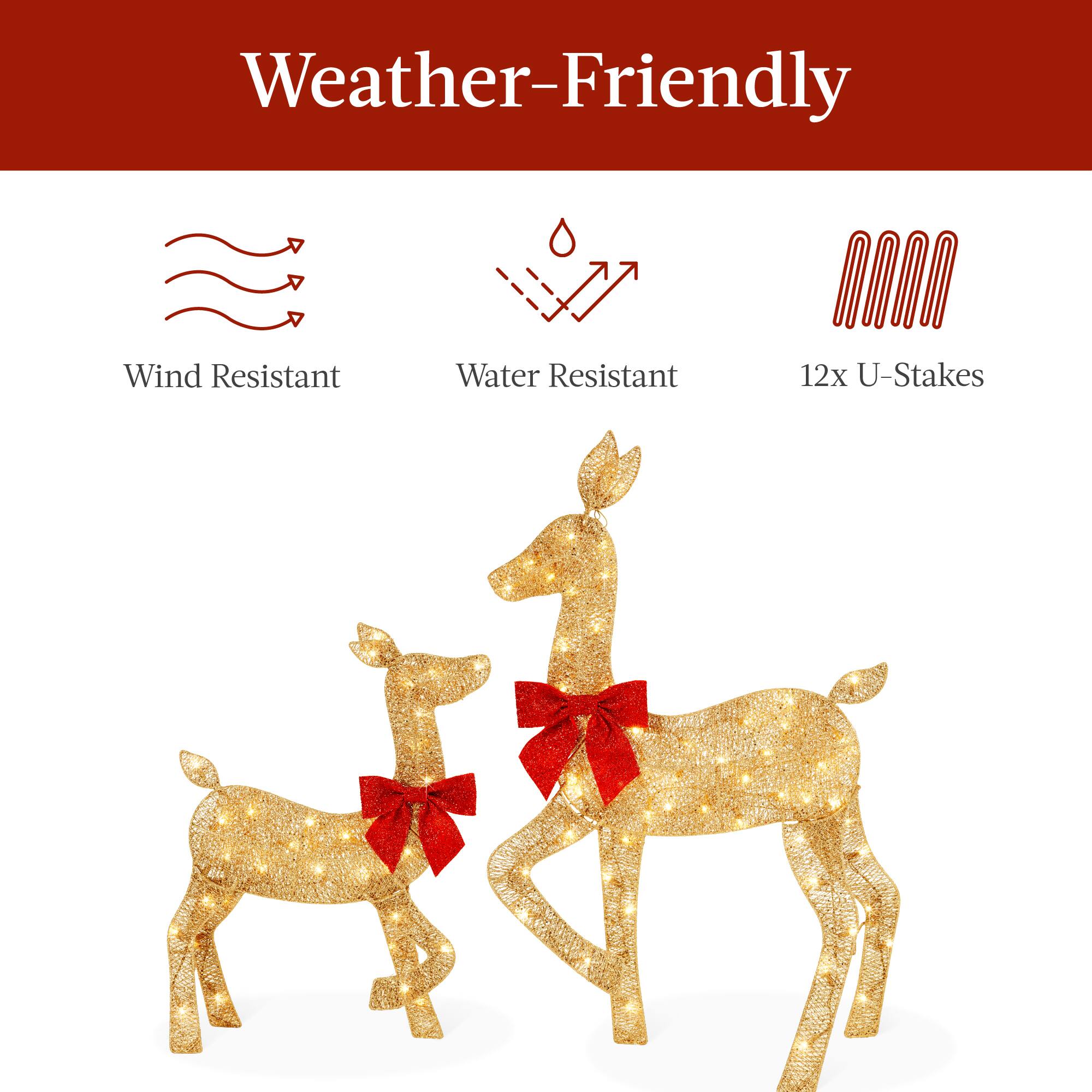 Weather-Friendly

Wind Resistant  
Water Resistant  
12x U-Stakes