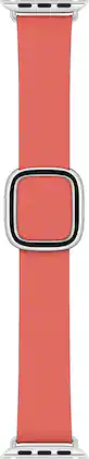 Apple - Watch Band - Modern Buckle (40mm) - Citrus - Large - Pink