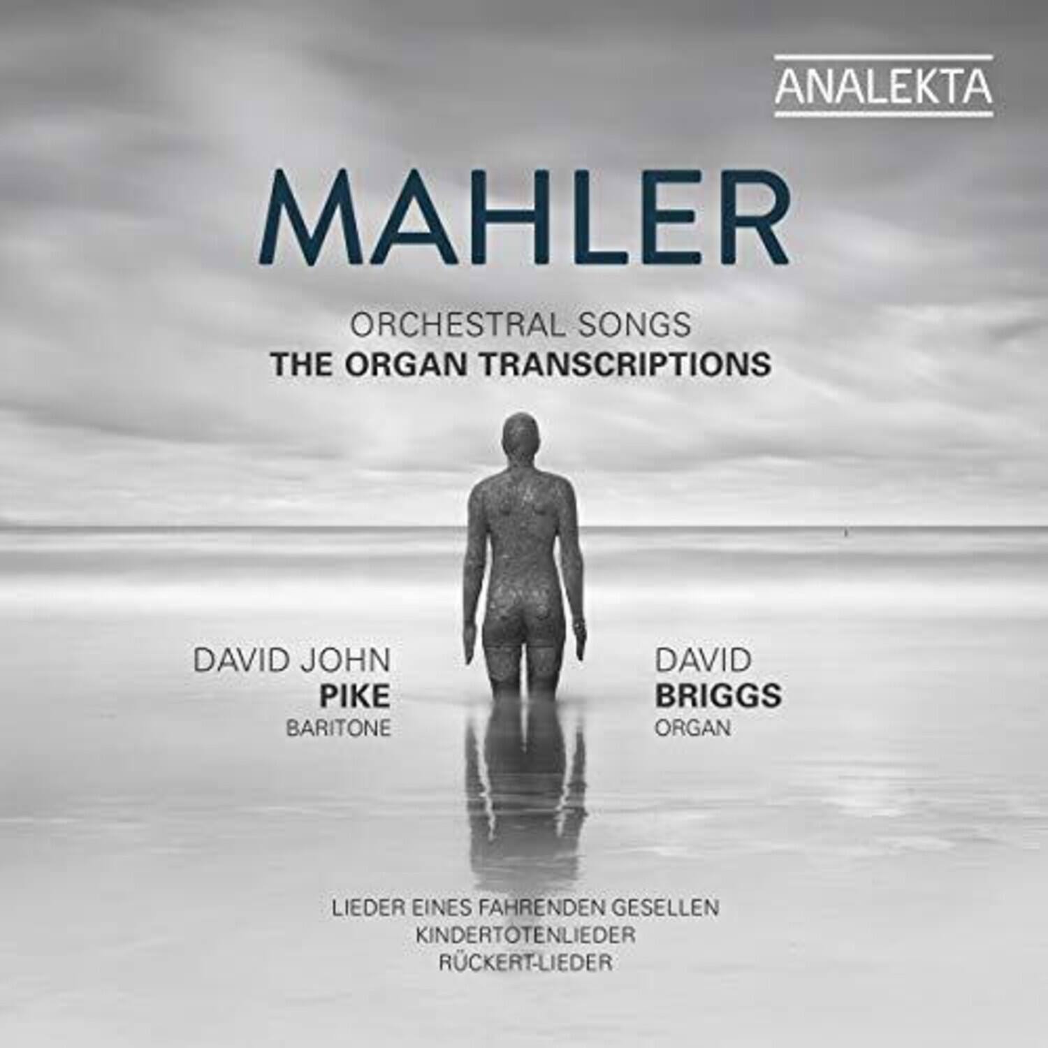 Mahler / Pike / Briggs - Orchestral Songs   - COMPACT DISCS [CD] price history on PriceWatchPro