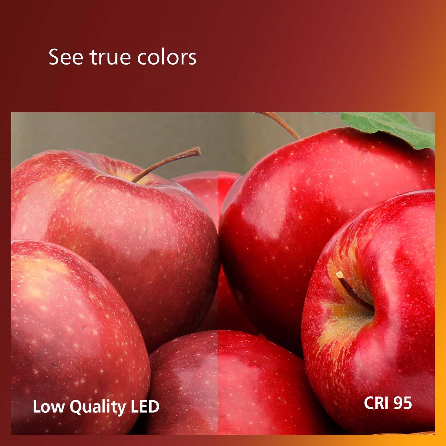 See true colors

Low Quality LED

CRI 95