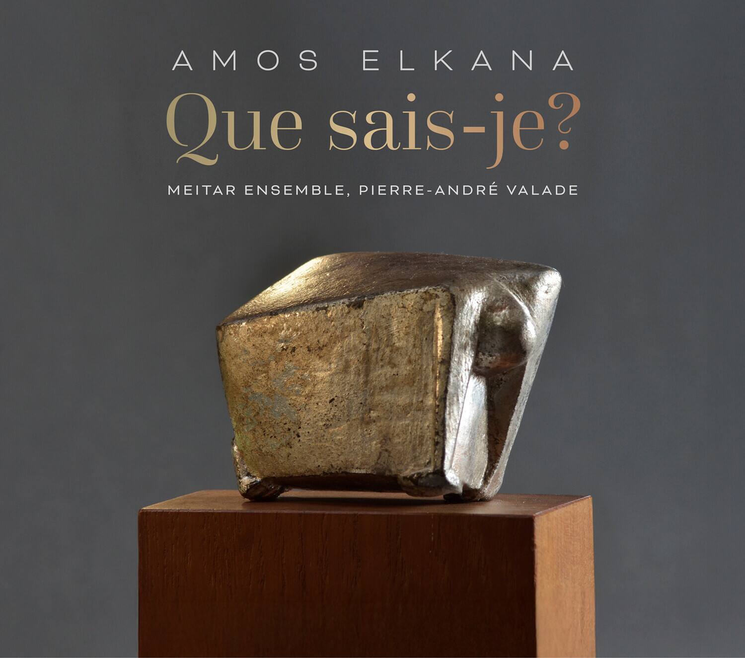 AMOS ELKANA  
Que sais-je?  
MEITAR ENSEMBLE, PIERRE-ANDRÉ VALADE