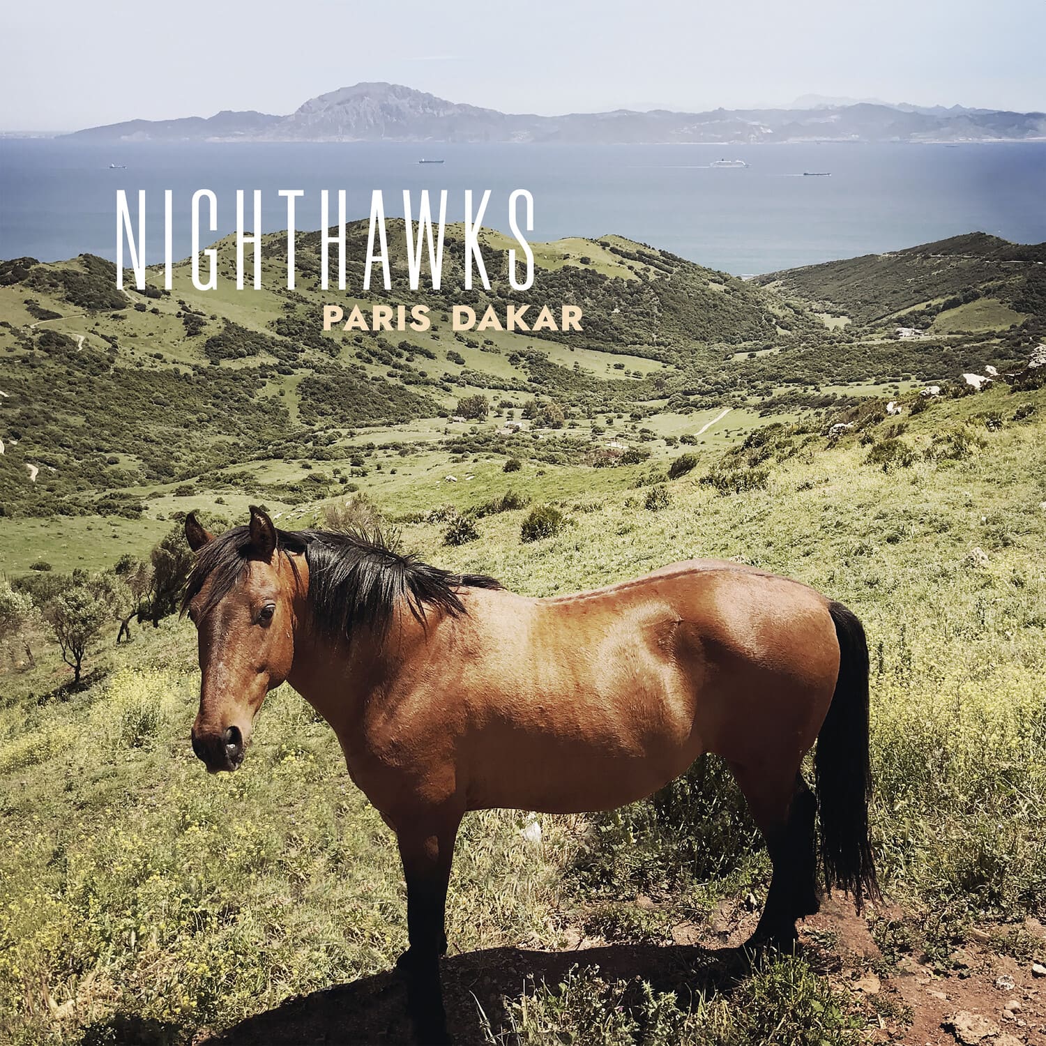 The Nighthawks - Paris Dakar   - COMPACT DISCS [CD]