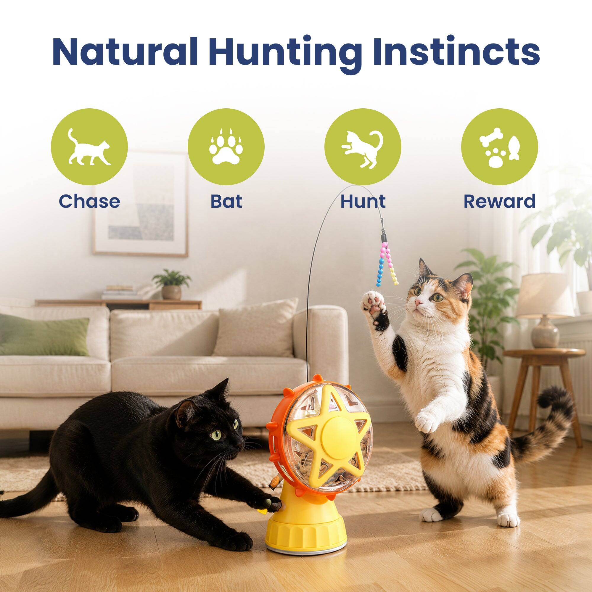 Natural Hunting Instincts

- Chase
- Bat
- Hunt
- Reward
