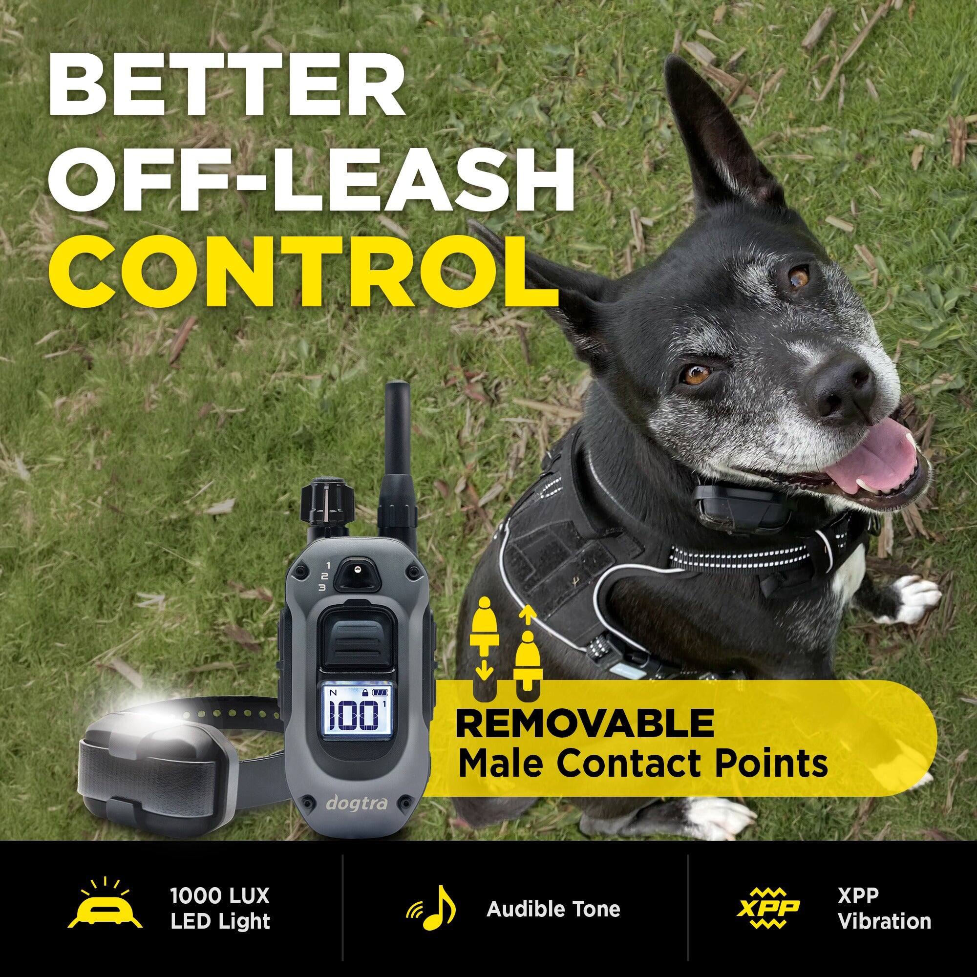 BETTER OFF-LEASH CONTROL

- 1000 LUX LED Light
- Audible Tone
- XPP Vibration
- REMOVABLE Male Contact Points