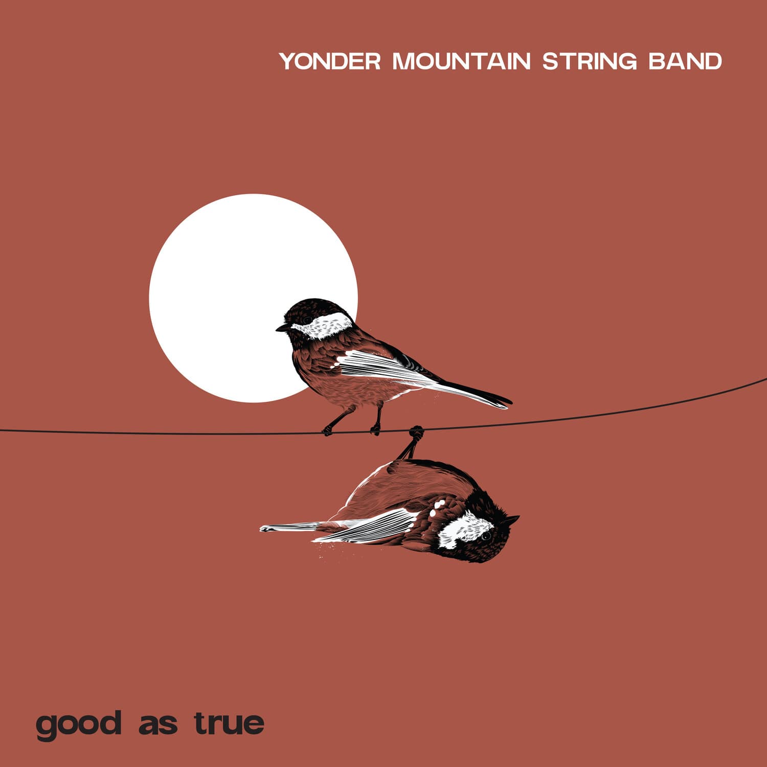 Yonder Mountain String Band - Good As True   - COMPACT DISCS [CD] price history on PriceWatchPro