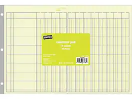 Staples - Columnar Book, 12 Columns, 16.31" x 11", 50 Sheets/Book - Green