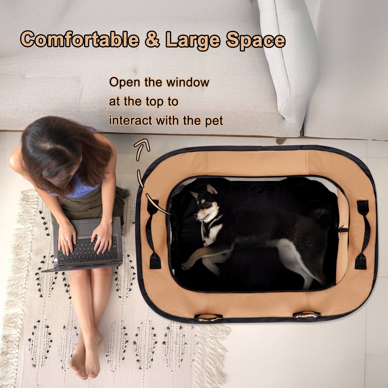 Comfortable & Large Space
Open the window at the top to interact with the pet