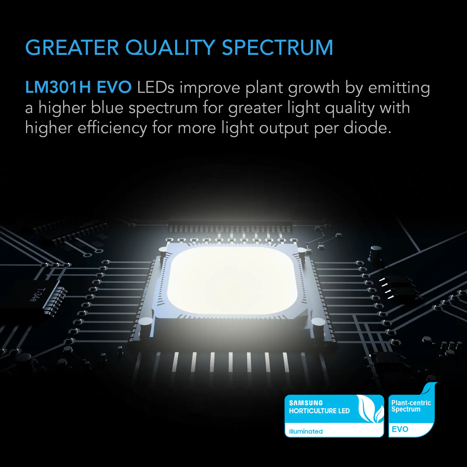 GREATER QUALITY SPECTRUM

LM301H EVO LEDs improve plant growth by emitting a higher blue spectrum for greater light quality with higher efficiency for more light output per diode.

T-34e

SAMSUNG HORTICULTURE LED

Plant-centric Spectrum

Illuminated

EVO