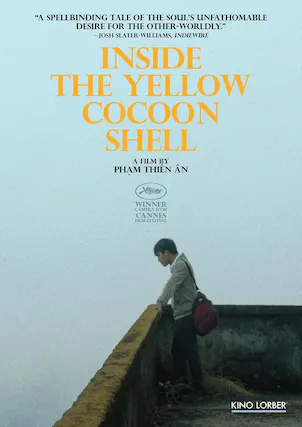 Front. Inside the Yellow Cocoon Shell - DVD.