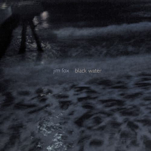 Brian Pezzone - Black Water   - COMPACT DISCS [CD] price history on PriceWatchPro