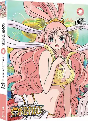 Front. One Piece: Collection 22 - DVD.