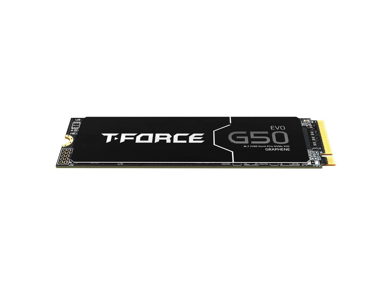 UB SHEES EVO HRJ T-FORCE G50 M..? 2288 GEMA PLIE NYME 550 GRAPHENE