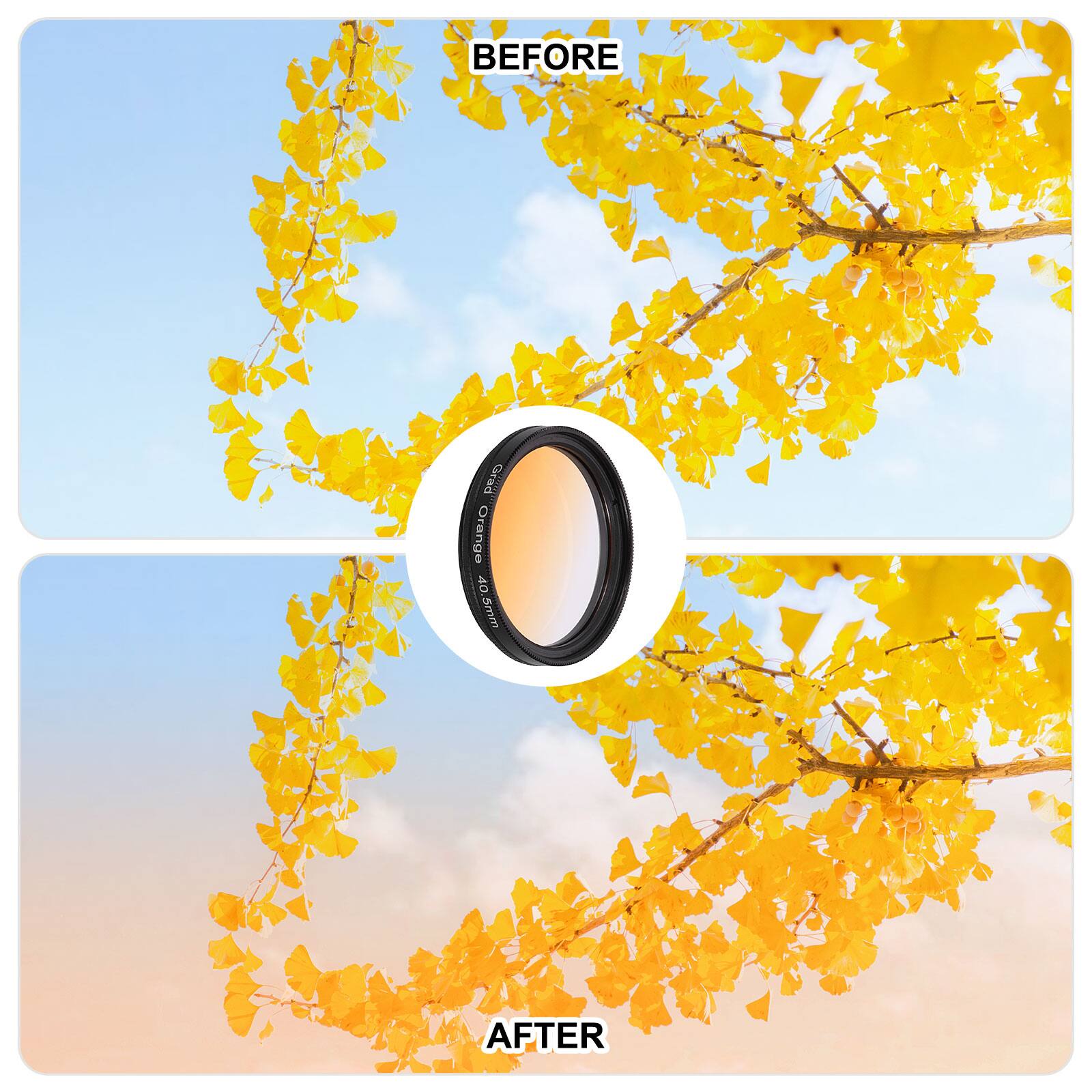 BEFORE  
Grad Orange 40 Smm  
AFTER