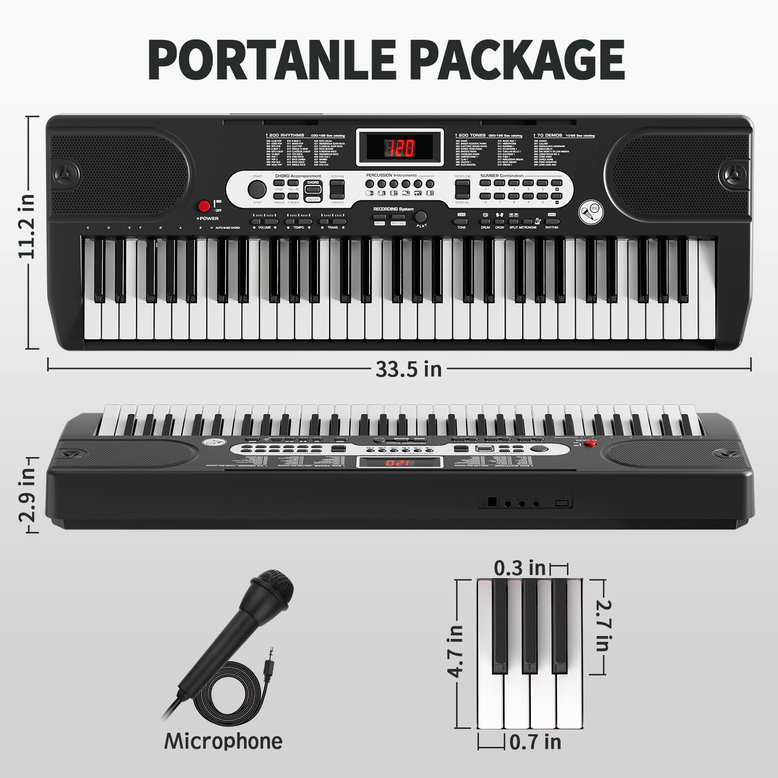 PORTABLE PACKAGE

- Width: 33.5 in
- Depth: 11.2 in
- Height: 2.9 in

Microphone

- Height: 2.7 in
- Width: 0.3 in
- Key Width: 0.7 in
- Key Depth: 4.7 in