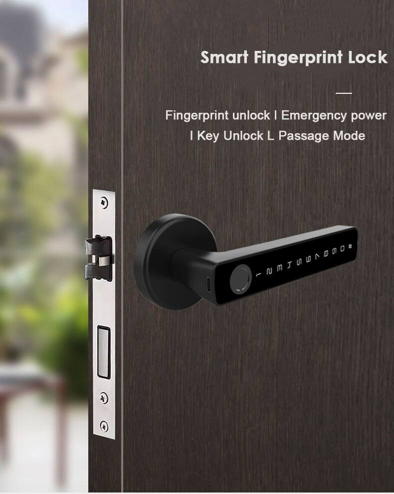 Smart Fingerprint Lock  
Fingerprint unlock | Emergency power | Key Unlock | Passage Mode