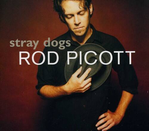 stray dogs  
ROD PICOTT