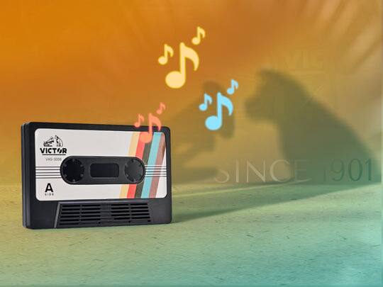 Victor Audio Victor Cassette Bluetooth® Speaker - Best Buy