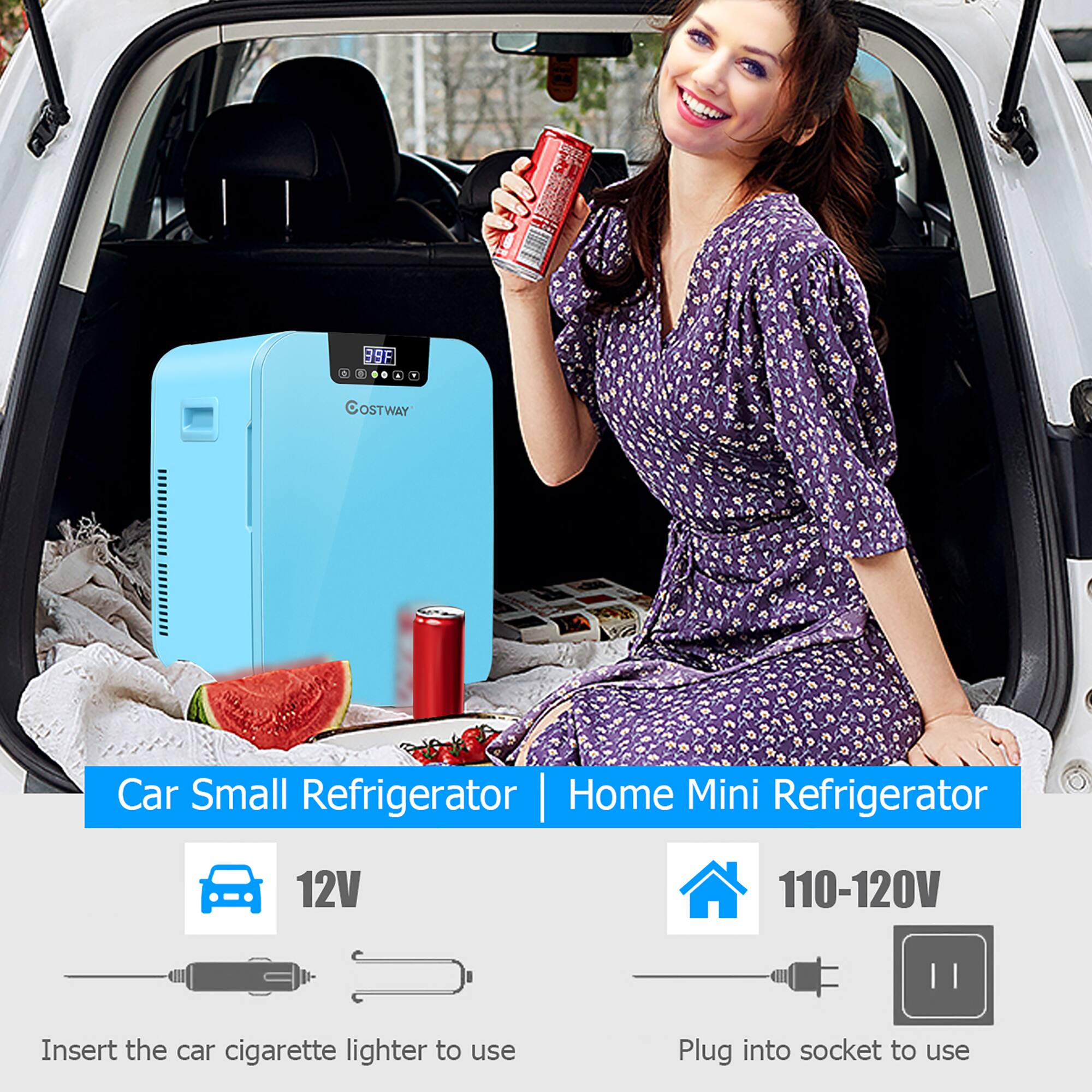 mini fridge that plugs into cigarette lighter Costway 21 Quart Mini Fridge Makeup Skincare Refrigerator Blue COST00873