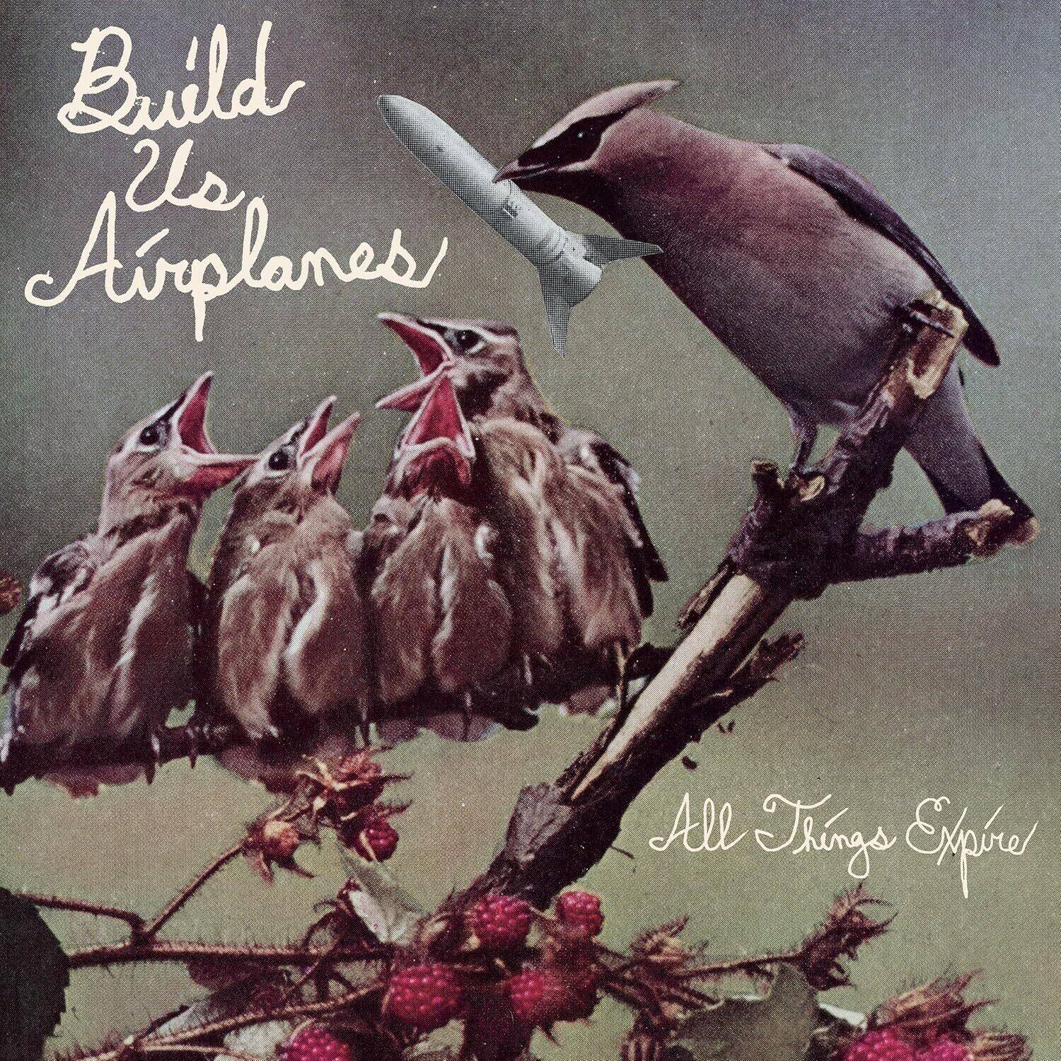 Build Us Airplanes - All Things Expire - VINYL LP