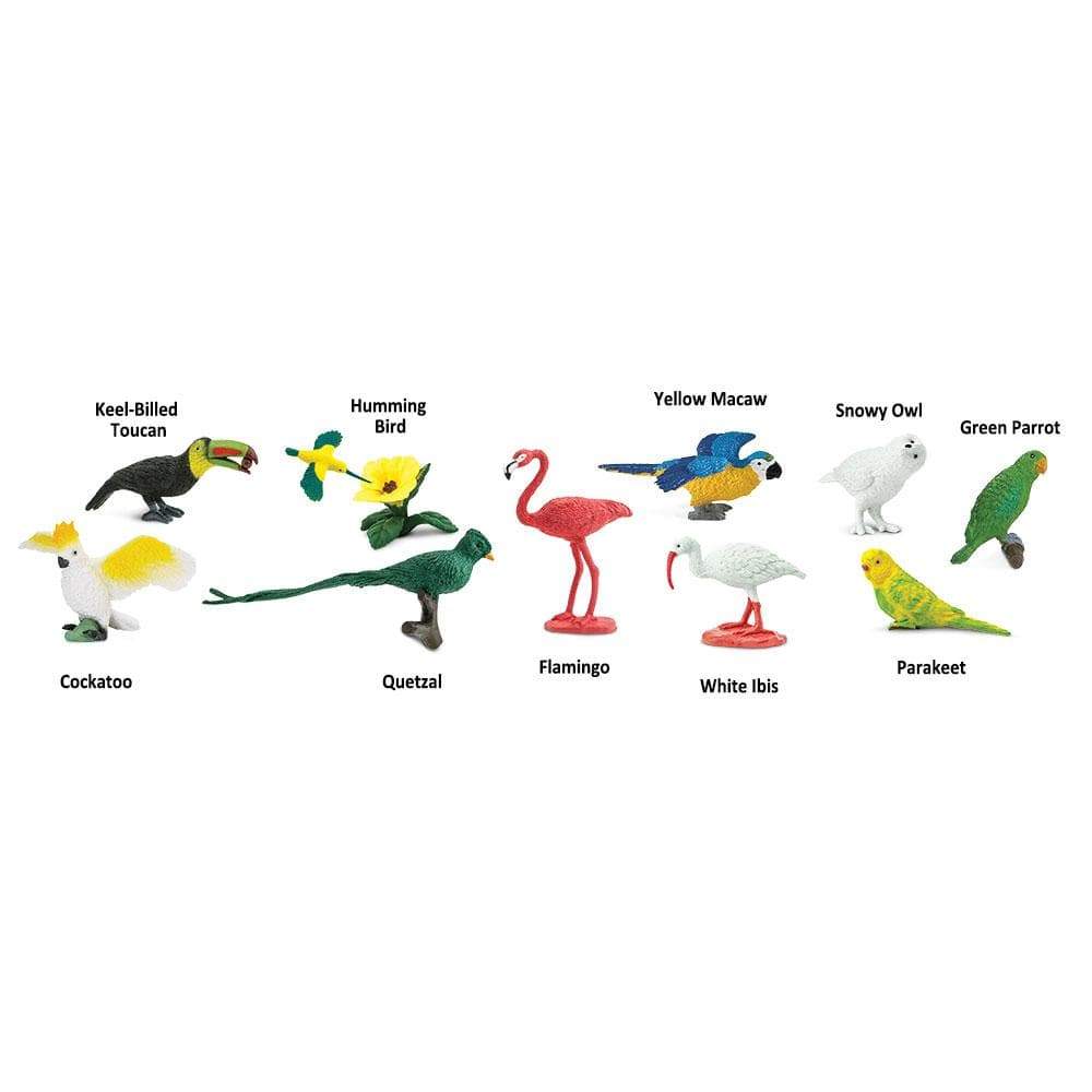 Keel-Billed Toucan  
Humming Bird  
Yellow Macaw  
Snowy Owl  
Green Parrot  
Cockatoo  
Quetzal  
Flamingo  
White Ibis  
Parakeet