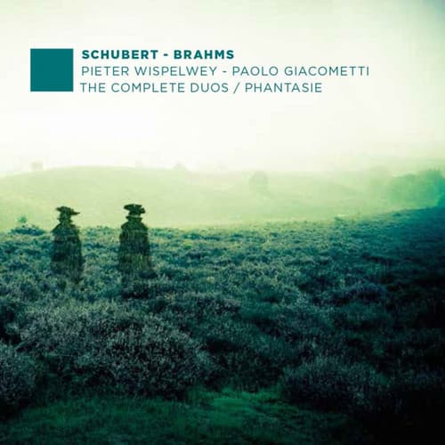 Schubert / Brahms / Wispelwey / Giacometti - Complete Duos & Phantasie  - COMPACT DISCS