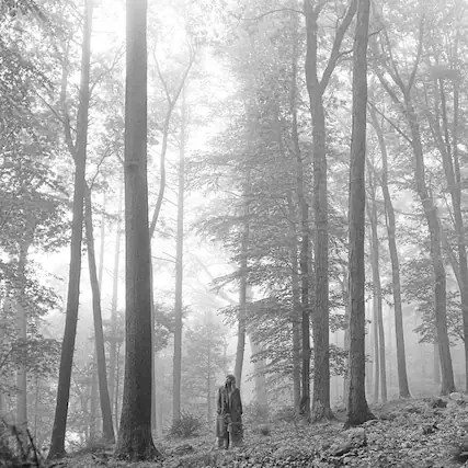 Front. Taylor Swift - Folklore - COMPACT DISCS.