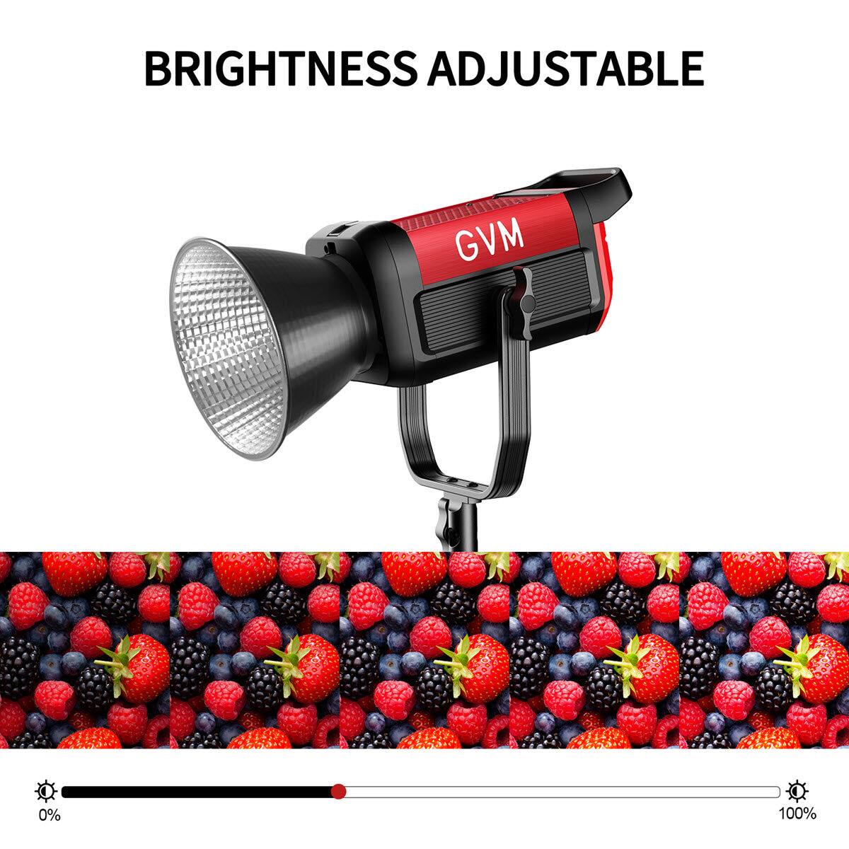 BRIGHTNESS ADJUSTABLE  
GVM  
0% 100%