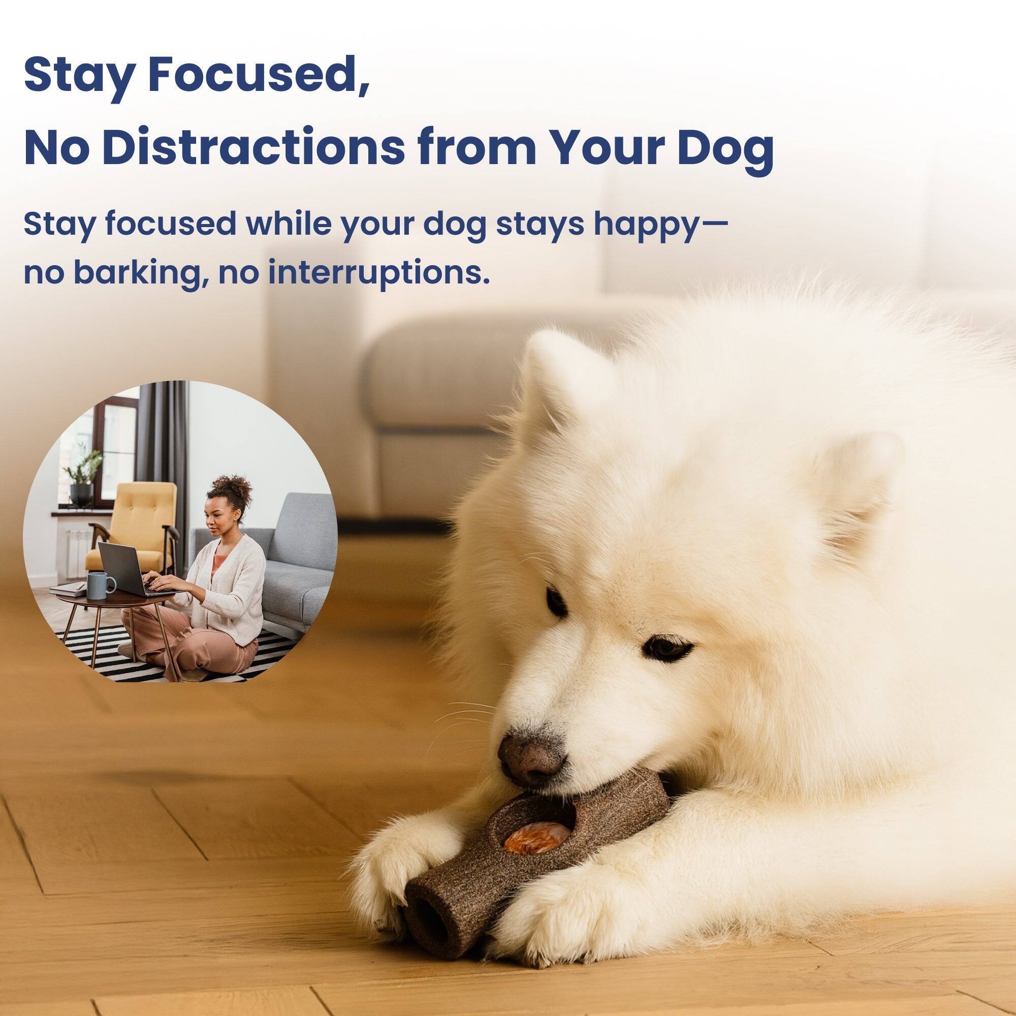 Stay Focused, No Distractions from Your Dog

Stay focused while your dog stays happy—no barking, no interruptions.
