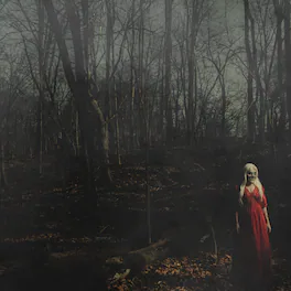 156/Silence - From A Distance - VINYL LP
