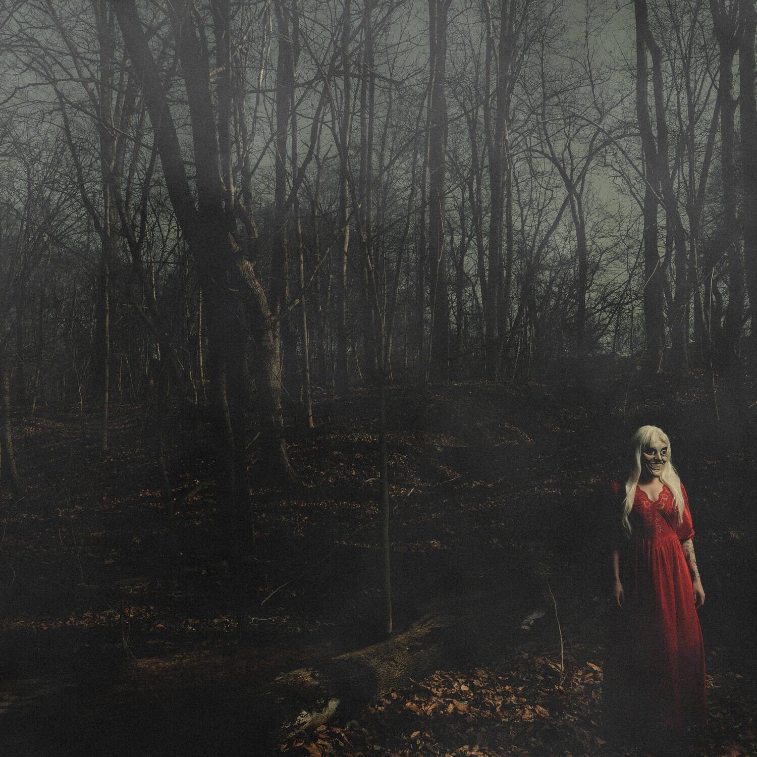 Front. 156/Silence - From A Distance   - VINYL LP.