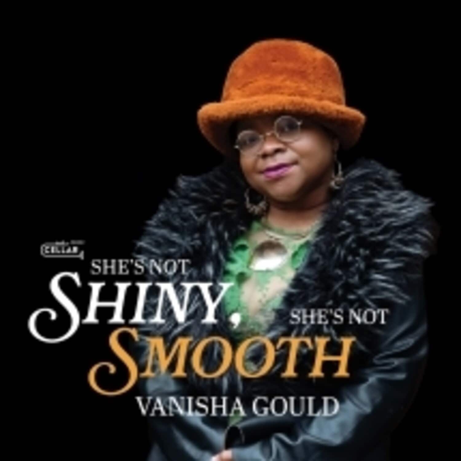 Vanisha Gould - She's Not Shiny, She's Not Smooth  - COMPACT DISCS