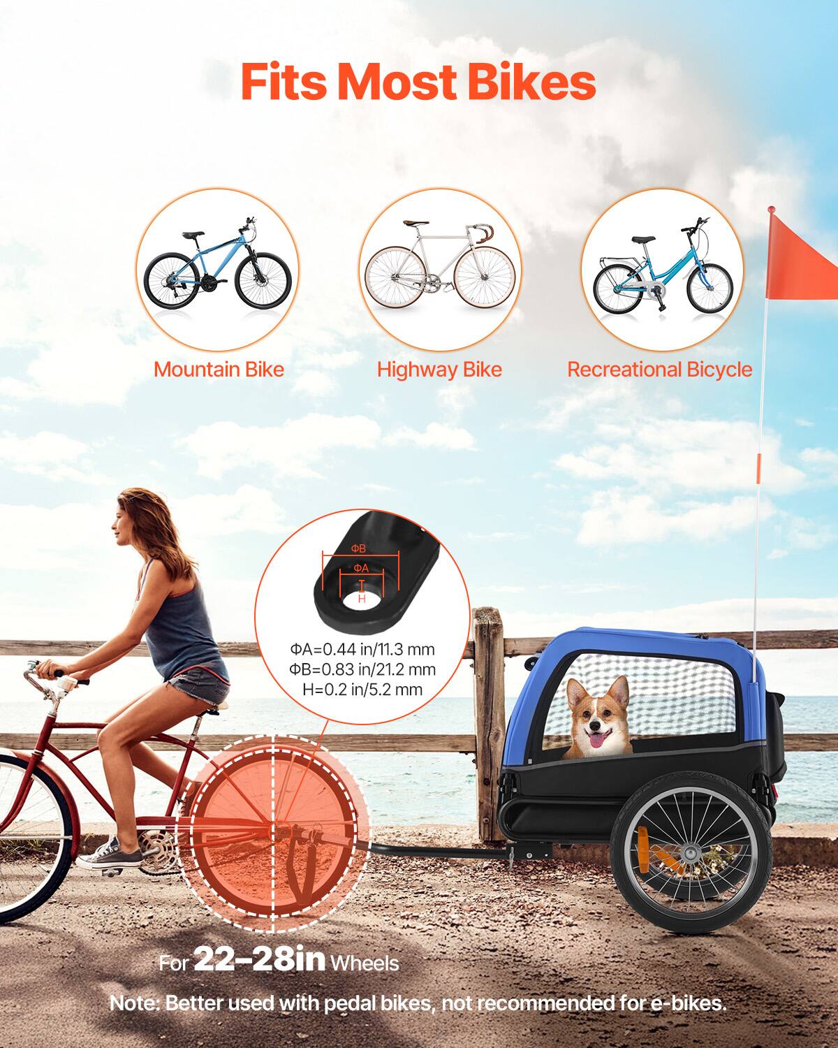 Fits Most Bikes  
Mountain Bike  
Highway Bike  
Recreational Bicycle  

ΦA = 0.44 in / 11.3 mm  
ΦB = 0.83 in / 21.2 mm  
H = 0.2 in / 5.2 mm  

For 22-28 in Wheels  

Note: Better used with pedal bikes, not recommended for e-bikes.