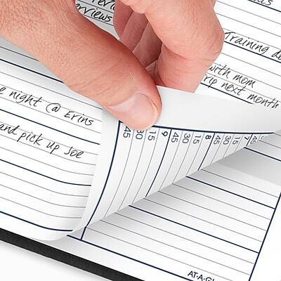 AT A GLANCE 2026 DayMinder 8