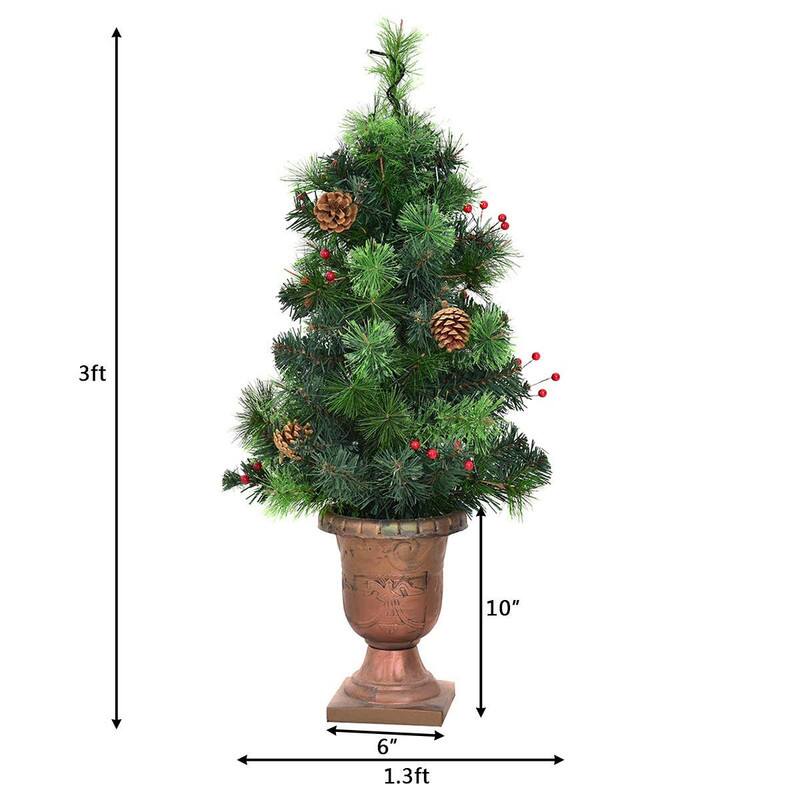 3ft  
10"  
6"  
1.3ft