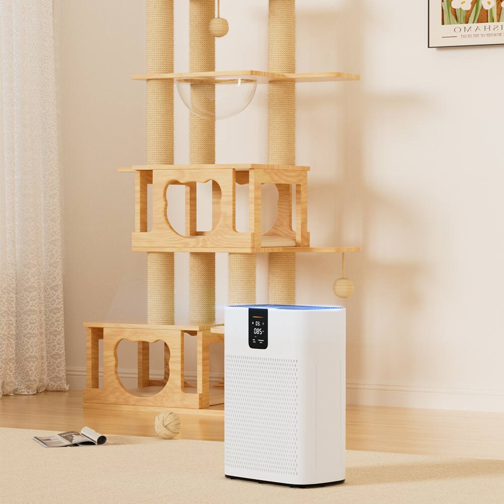 The text in the image appears to be a mix of letters and numbers that are not clearly legible. However, based on the context and common patterns, it might be intended to represent a temperature reading. Here is a possible correction:

"85°"

This suggests that the device is displaying a temperature of 85 degrees.