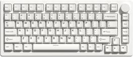 Womier - PBT keycaps Set, 126 Keys Double Shot Retro Keyboard caps for 60 65 75 100 Percent Mechanical Keyboard - White