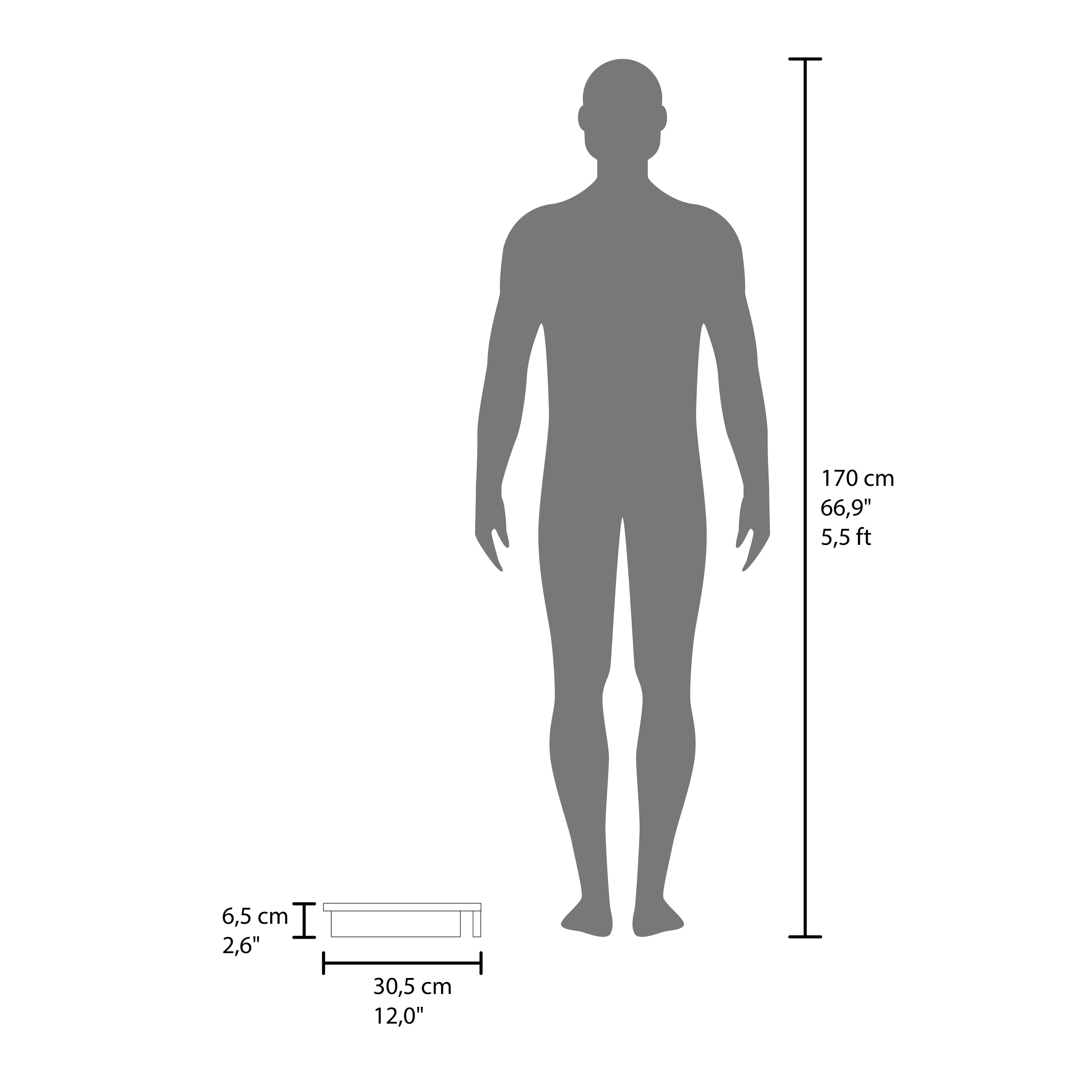 170 cm 66,9" 5,5ft

6,5 cm 2,6"

30,5 cm 12,0"