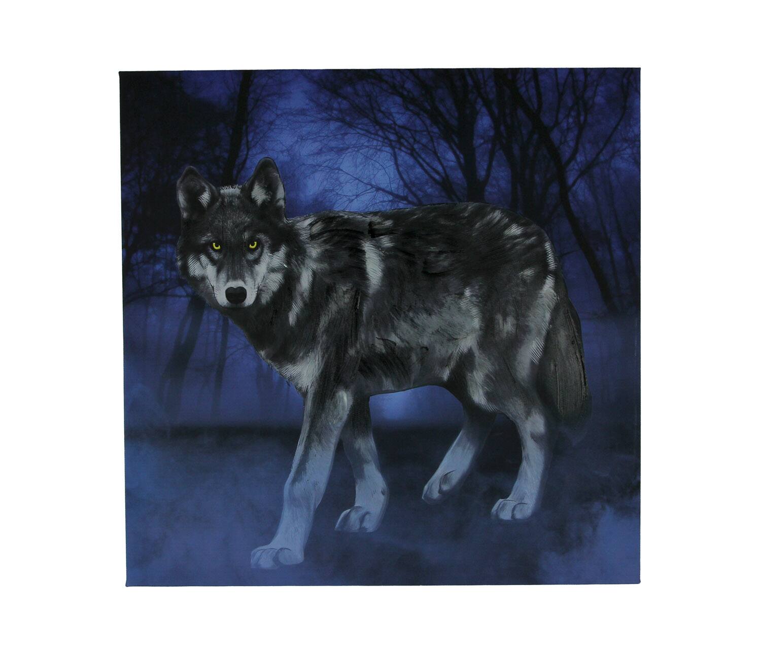 Front. De Leon Collections - Lone Wolf In the Blue Misty Moonlit Forest Canvas Print - Blue.