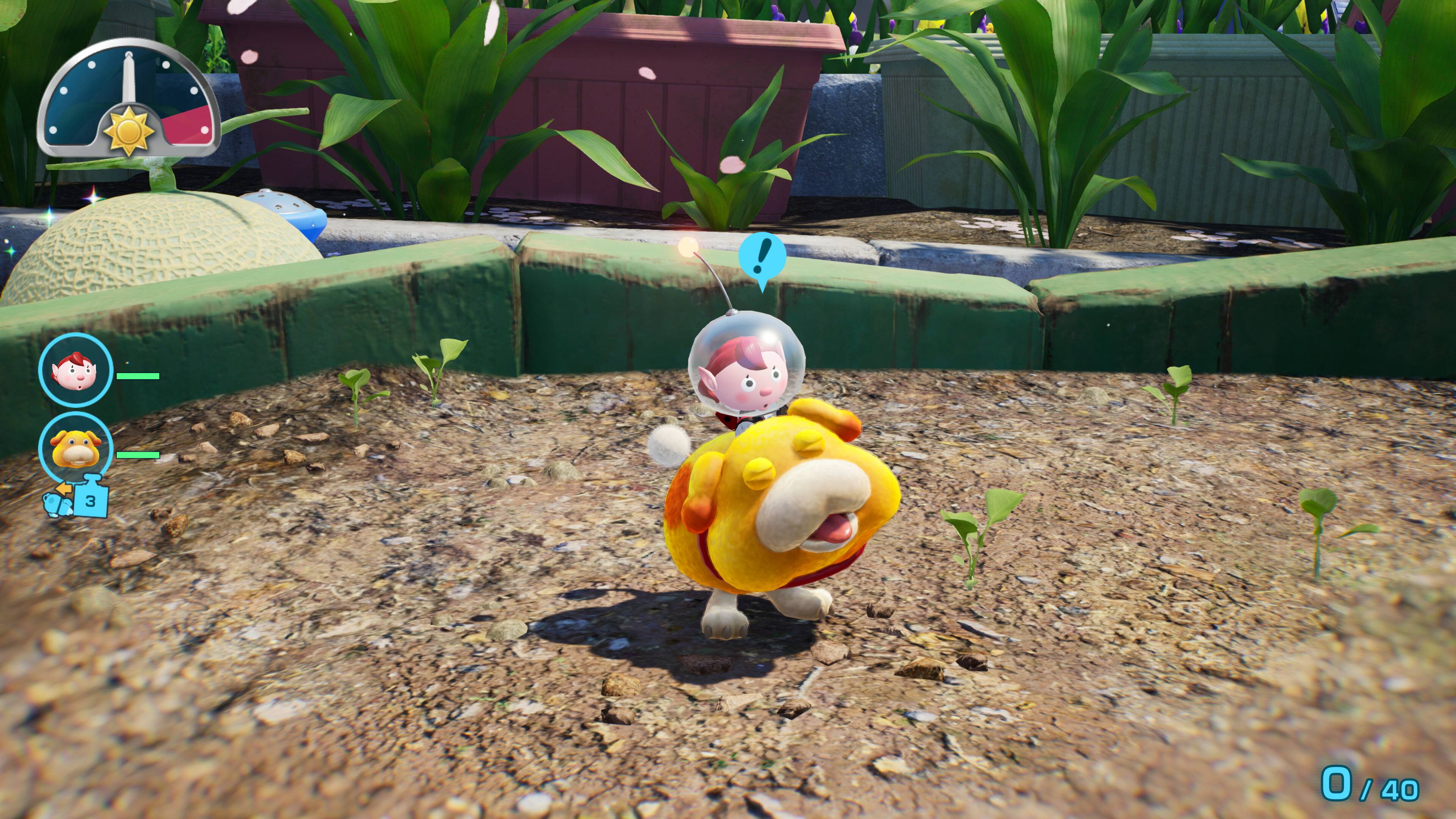 Pikmin 4 – Nintendo Switch 2 Edition + Dandori Academy Nintendo