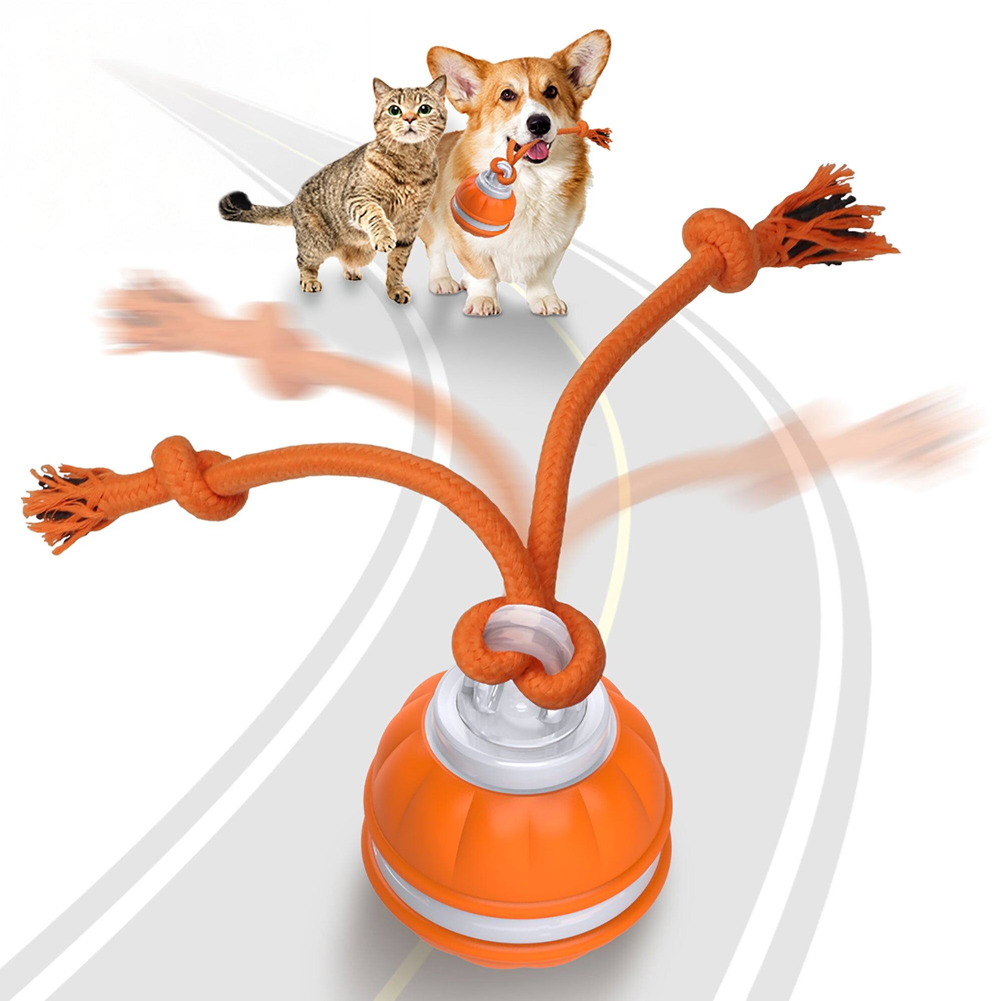 Front. PawsPik - PawsPik Rope Runner Interactive Squeaky Rechargeable Small Dog Ball & Rope Toy, Orange, Small - orange.