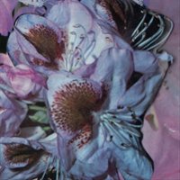 Proserpine [LP] - VINYL - Front_Zoom