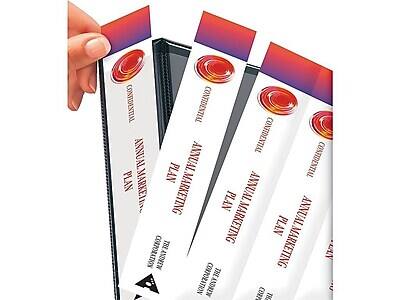 CONFIDENTIAL  
ANNUAL MARKETING PLAN  
CORPORATION  
THE LAGUNA CORPORATION