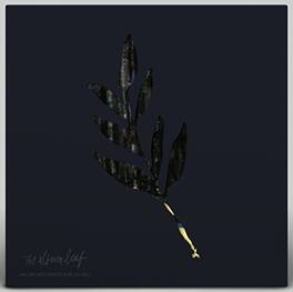 The Album Leaf - An Orchestrated Rise To Fall - VINYL LP